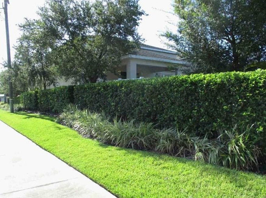 Exterior Neighborhood (street photo)