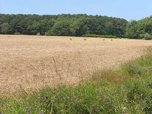 LOT-28B Seaside Cir, Parksley, VA 23421