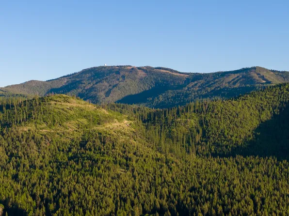 Coon Hollow Retreat, Kila, MT 59920