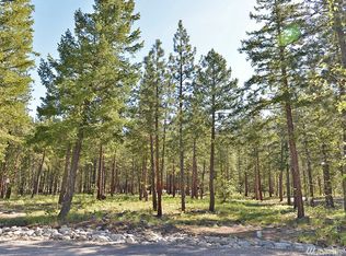 12 Summerland Ln, Mazama, WA 98833