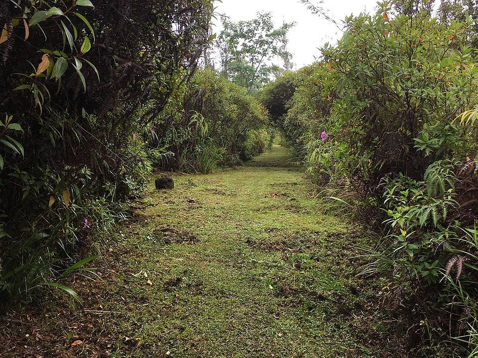 2nd image of Aulii St Lot 31