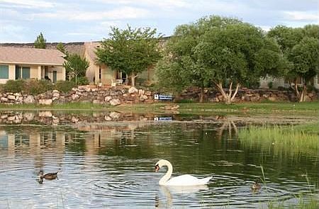Sun Brook Lake