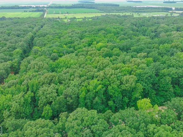 2 County Road 160, Jonesboro, AR 72404