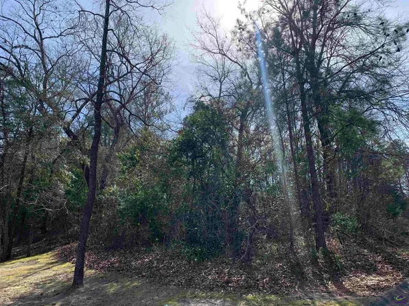 217 Blue Ridge Ln, Warner Robins, GA 31088