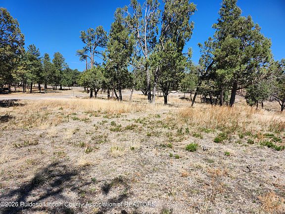 5th image of 101 & 103 High Chaparral