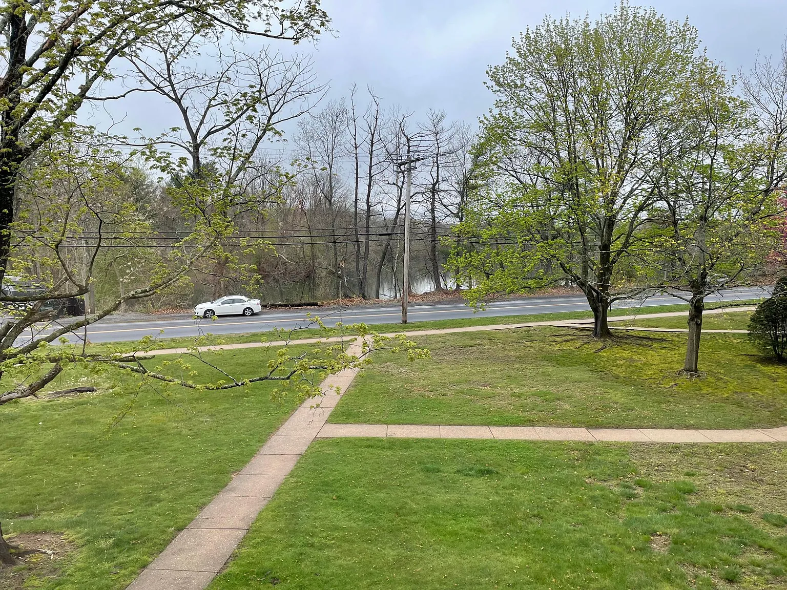 1 bed, 725 sqft, $1,750 — Photo 3