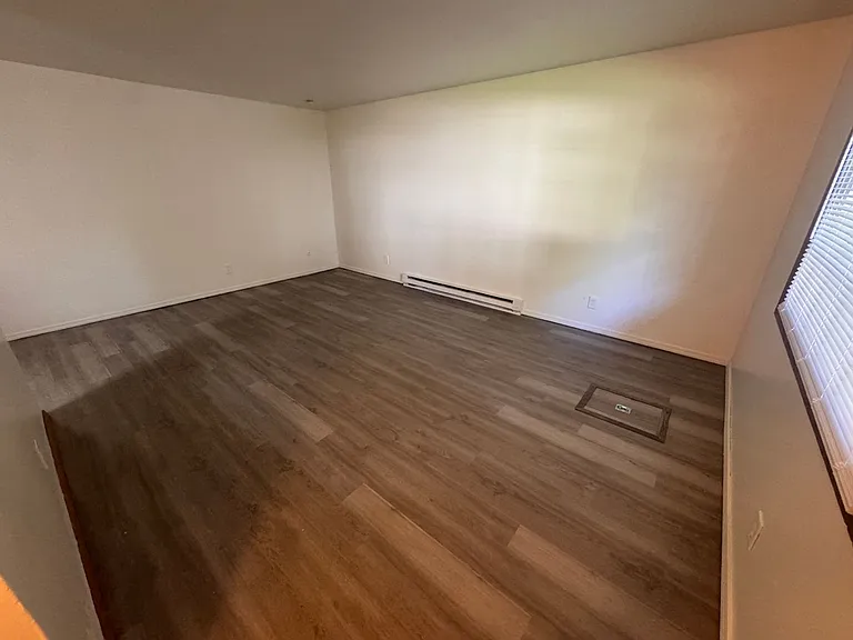 The Spruce — Photo 3