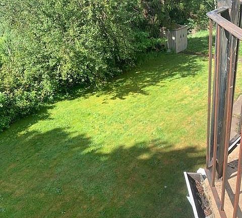 another view of back yard