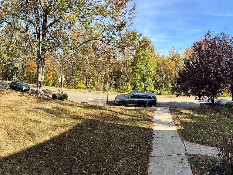 Front of house looks directly across wooded park