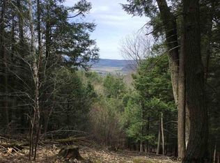 0 Cotton Hill Rd, Middleburgh, NY 12122