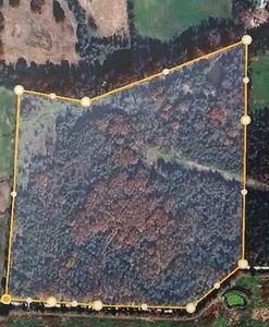 Highway 21 N, Berryville, AR, 72616