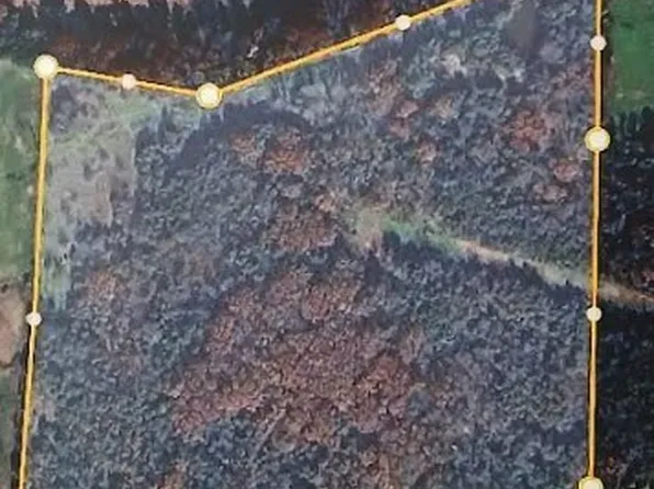 Highway 21 N, Berryville, AR 72616