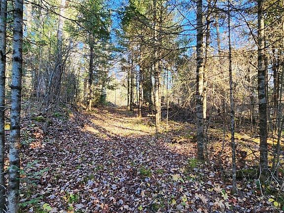 3rd image of N13275 N Fork Rd