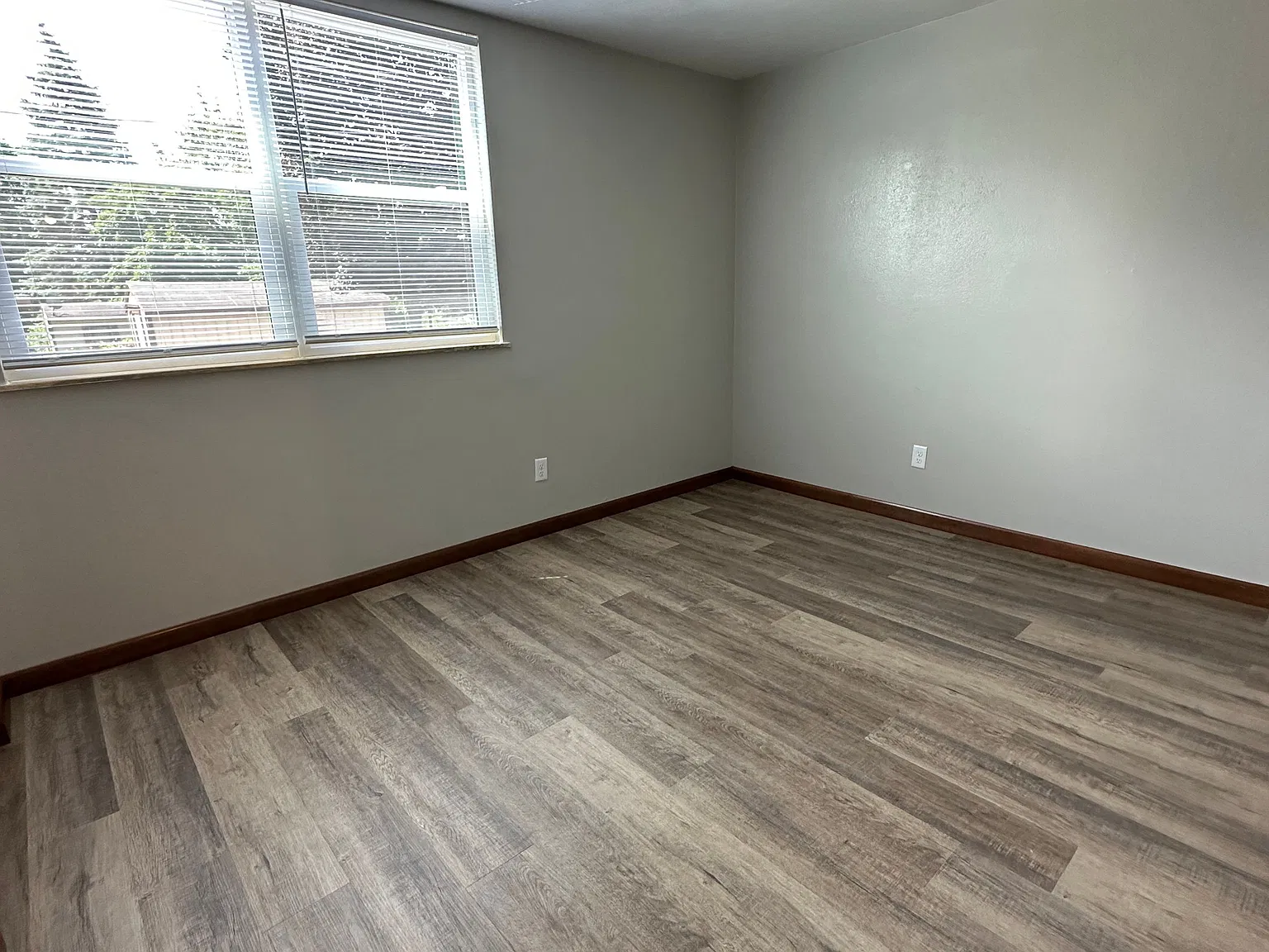 508 Middlebury St — Photo 4