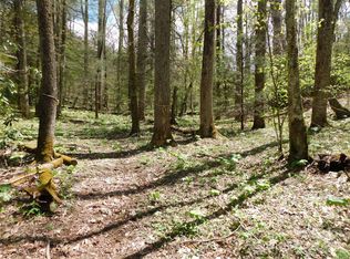 Black Bear Trl #26, Linville, NC 28646