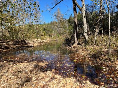 County Road 906, Bunker, MO, 63629