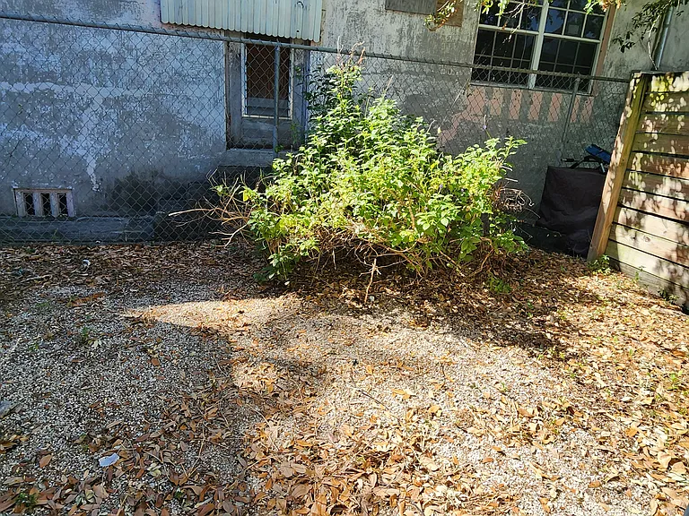 2 NE 63rd St — Photo 6