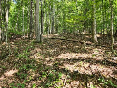 0 Allison Watts Rd, Franklin, NC, 28734