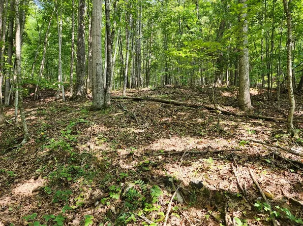 0 Allison Watts Rd, Franklin, NC 28734