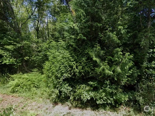 36 xx H Street Road, Blaine, WA 98230