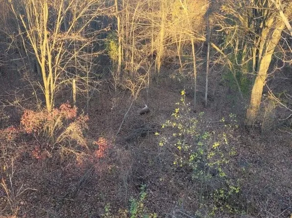 Reddicliffe Rd, Melvin, MI 48454