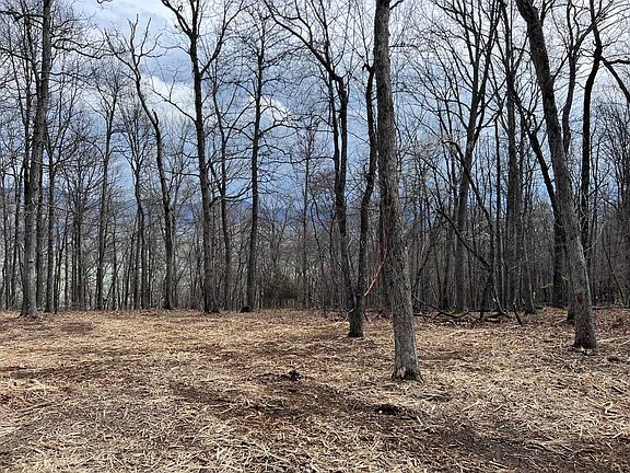 2nd image of Tbd Peaksview Dr