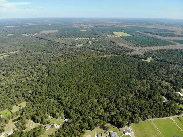 Guitreau Ln, Livingston, LA 70754