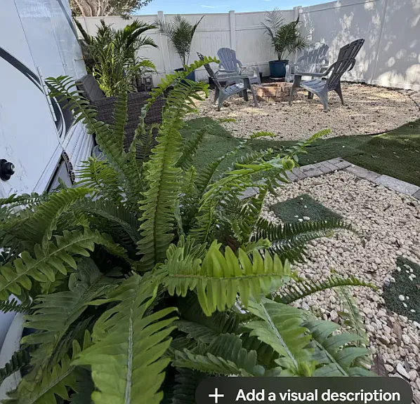 Regatta Cir — Photo 14