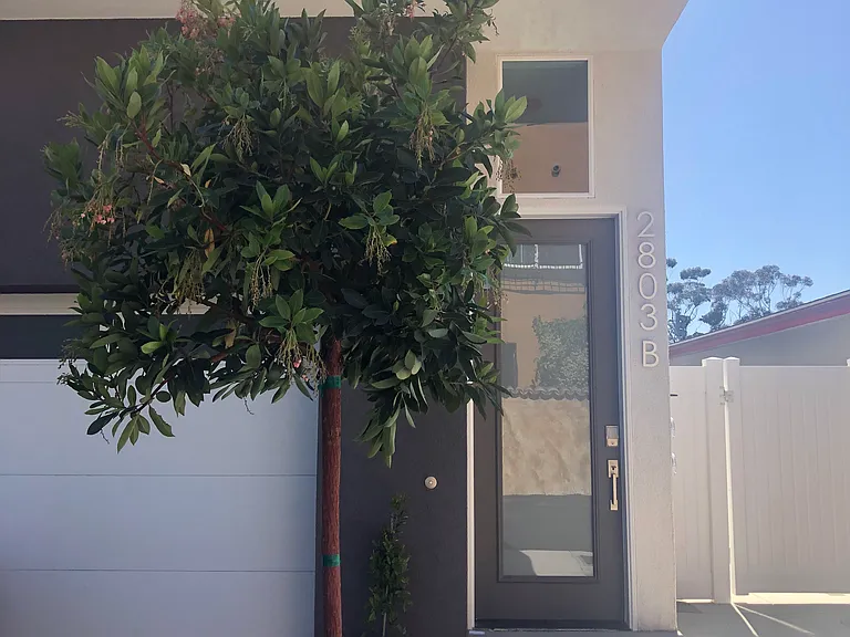 2803 S El Camino Real #B — Photo 23