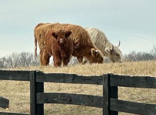 8331 Beech Valley Rd, Primm Springs, TN 38476