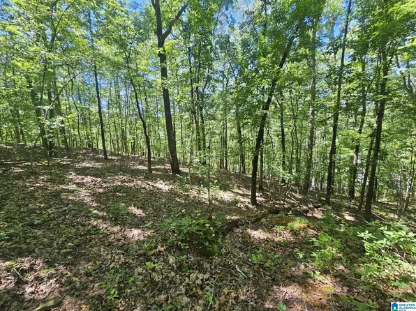 0 Hollys Ln #0, Riverside, AL 35135