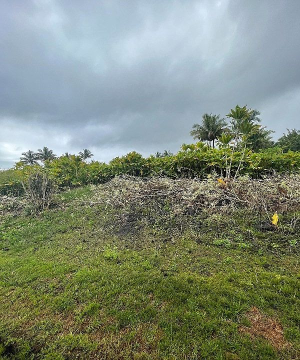 2nd image of Ipuaiwaha St Lot 292