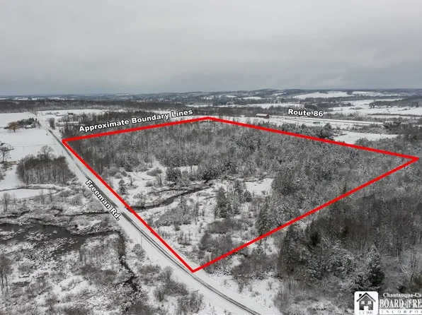 0 Freeman Rd #46, Sherman, NY 14781