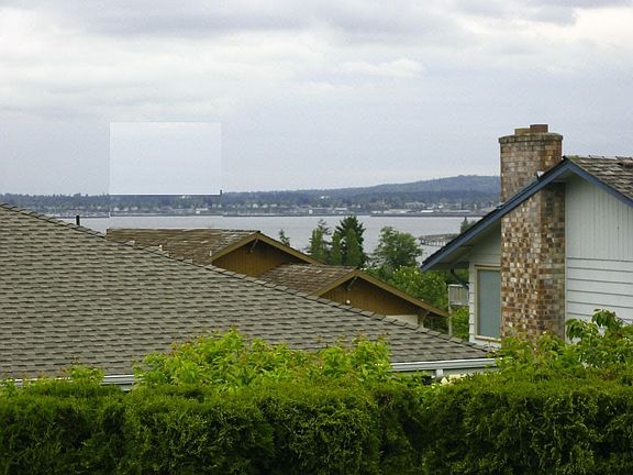 View from deck