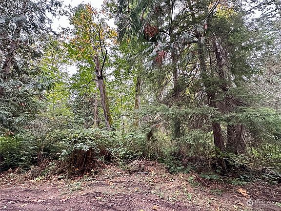 3rd image of 0 Forest Glen Lane