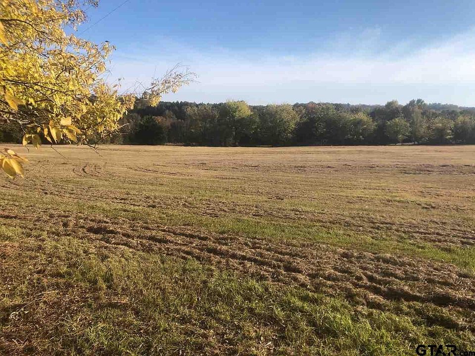 1st image of TRACT 1 County Road 3305