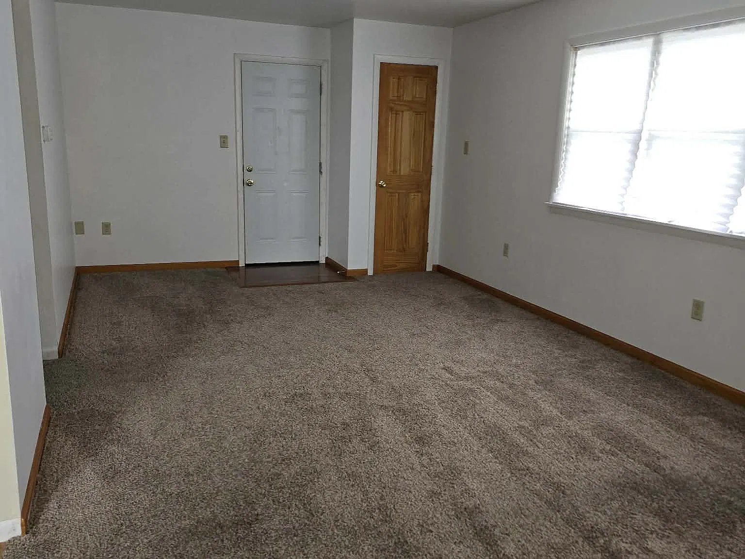2 bed, $1,300 — Photo 2