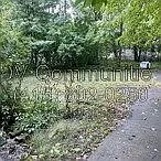 1148 E 176th St — Photo 27