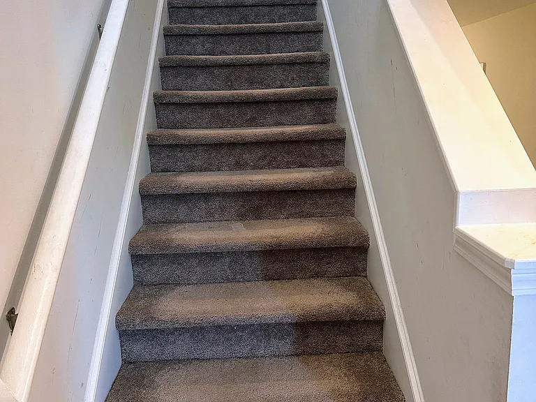 459 Salvia Rd #MAIN — Photo 9