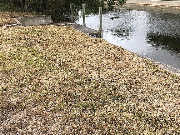 seawall already in