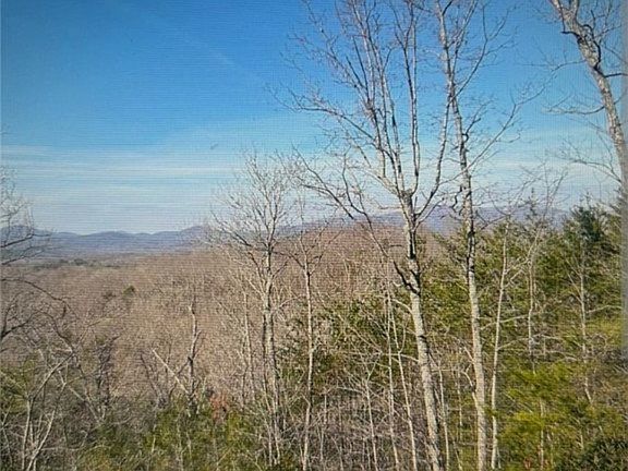 2nd image of 1130 Packs Mountain Ridge Rd