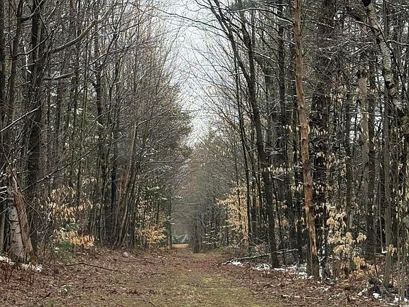 2nd image of 0 Bailey Rd