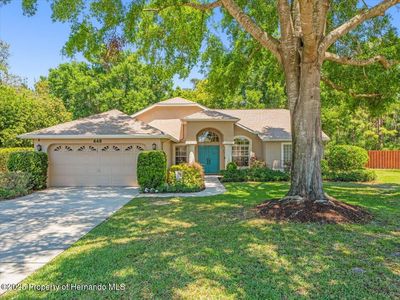 446 Romine Ct, Spring Hill, FL, 34609