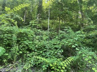 LOT 12 Bluff Mountain Rd, Sevierville, TN 37876