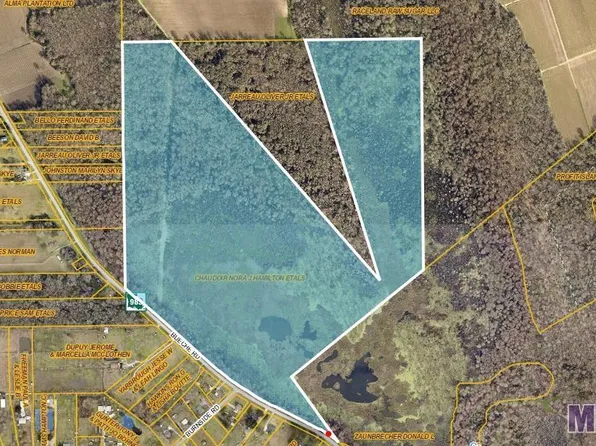 7000 Bueche Rd, Erwinville, LA 70729