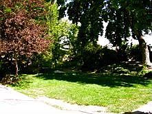 Part of Backyard
