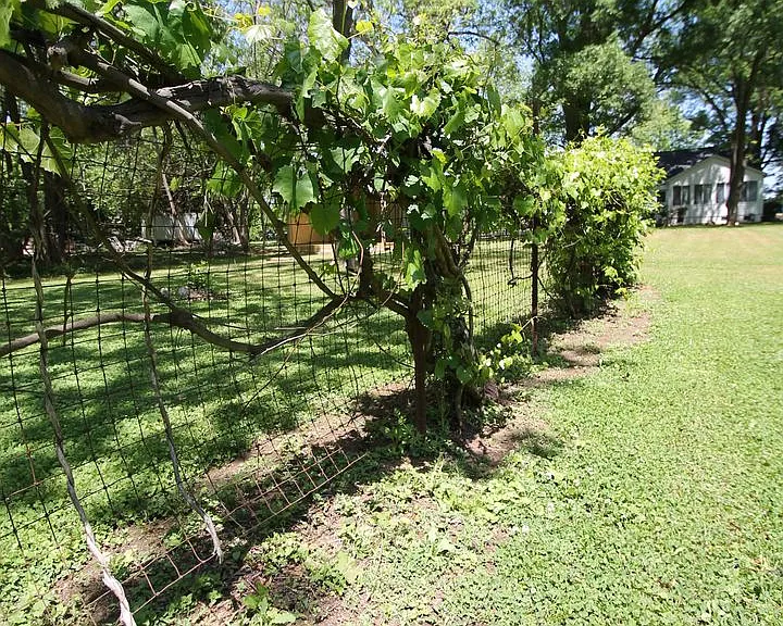 1004 Anderson Rd S — Photo 59