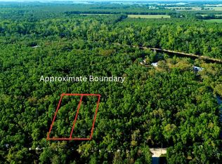 NE Tansy Road Lots #2, Mayo, FL 32066