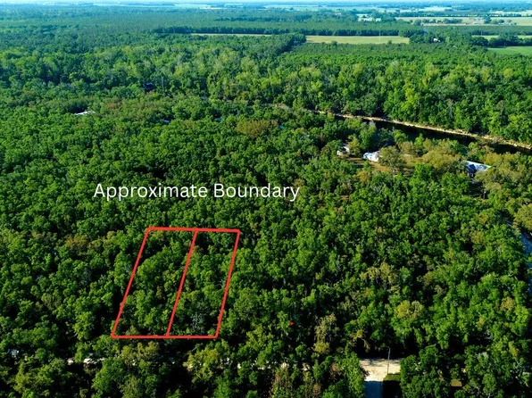 NE Tansy Road Lots #2, Mayo, FL 32066