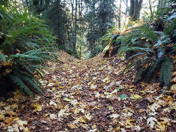 Trailhead across the street 